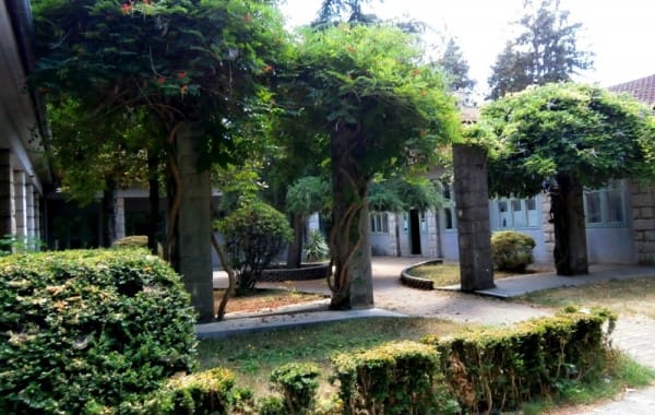 Istrian Health Centers- Pazin