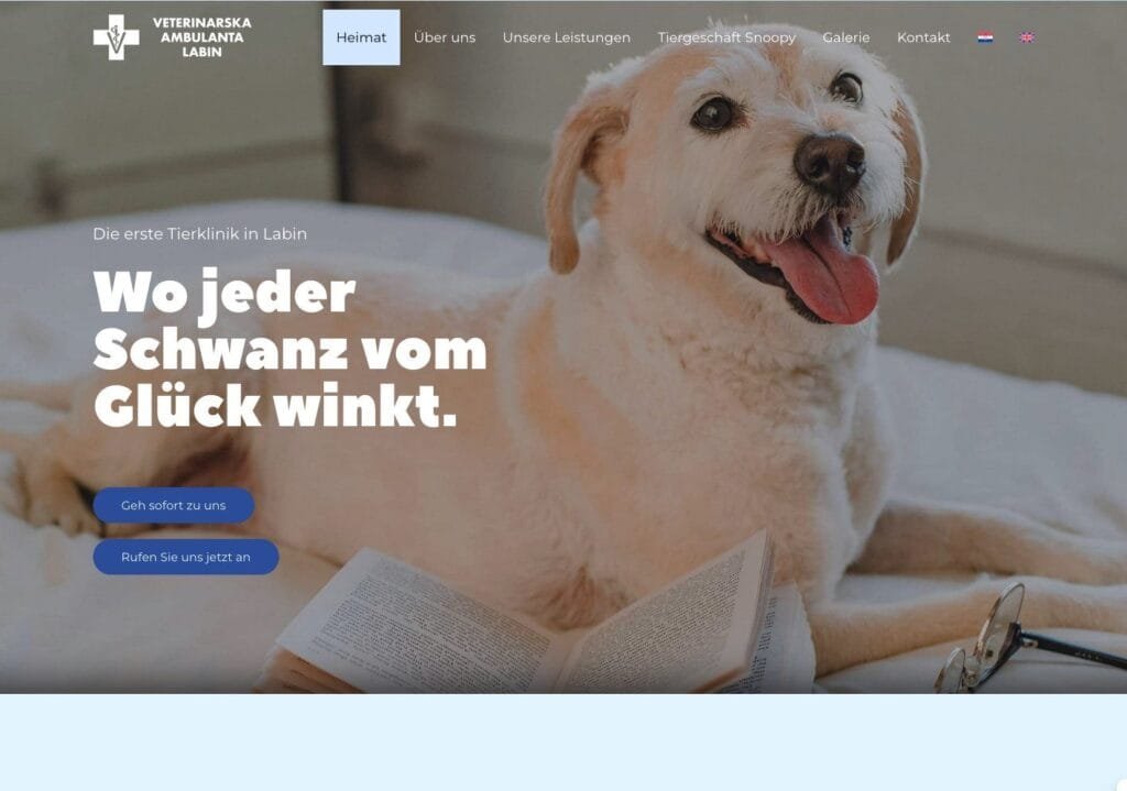 Veterinary-Clinic-Labin